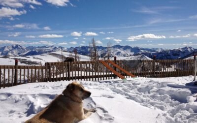 June Mountain Scheduled to Reopen!