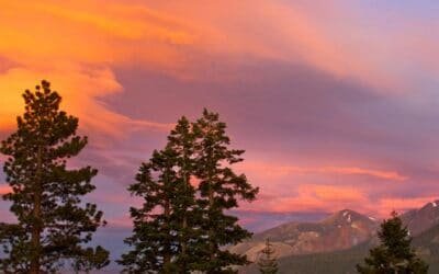 Movies Under the Stars